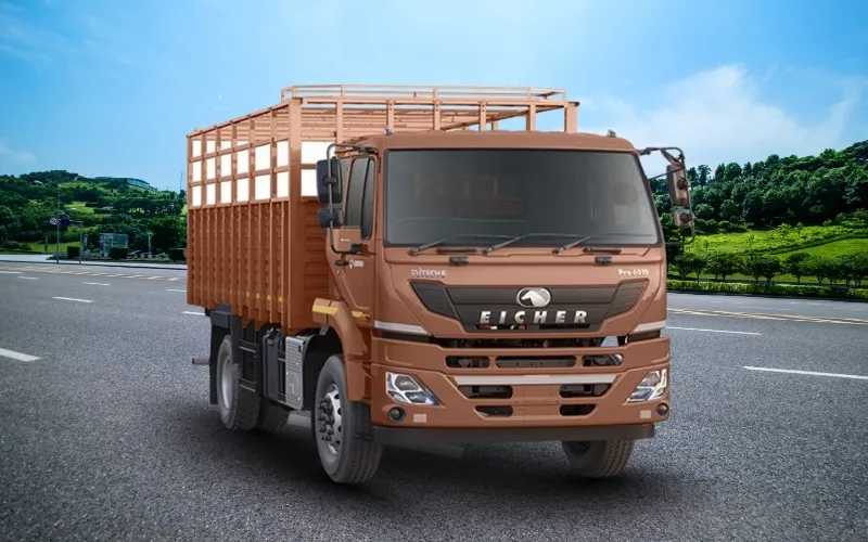 Pro 6019